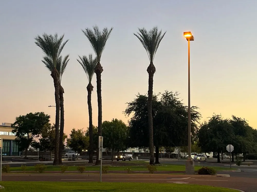 Custom landscape design in Hanford, CA - Dangi´s Landscaping and Tree Services