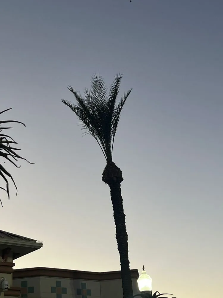 Reliable landscaping services in Hanford, CA - Dangi´s Landscaping and Tree Services