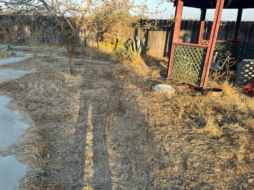 Top-rated landscaping services in Hanford, CA - Dangi´s Landscaping and Tree Services