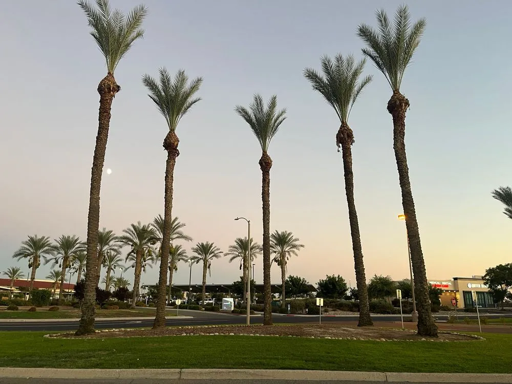 Expert residential landscaping in Hanford, CA by Dangi´s Landscaping and Tree Services