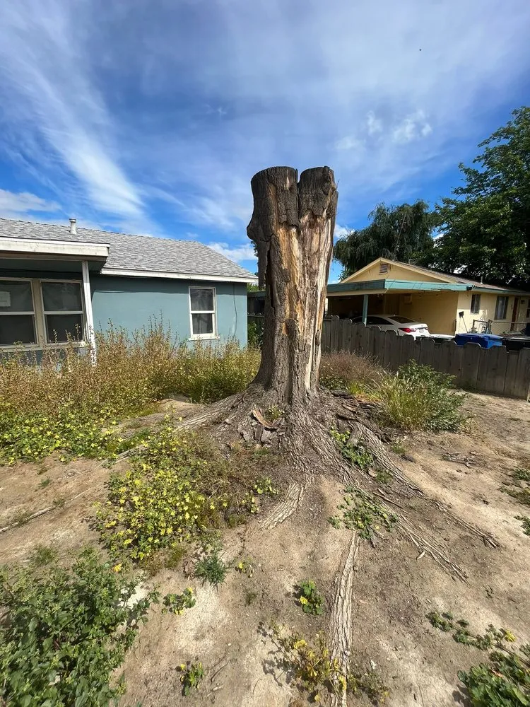 Affordable landscape installation experts serving Hanford, CA - Dangi´s Landscaping and Tree Services