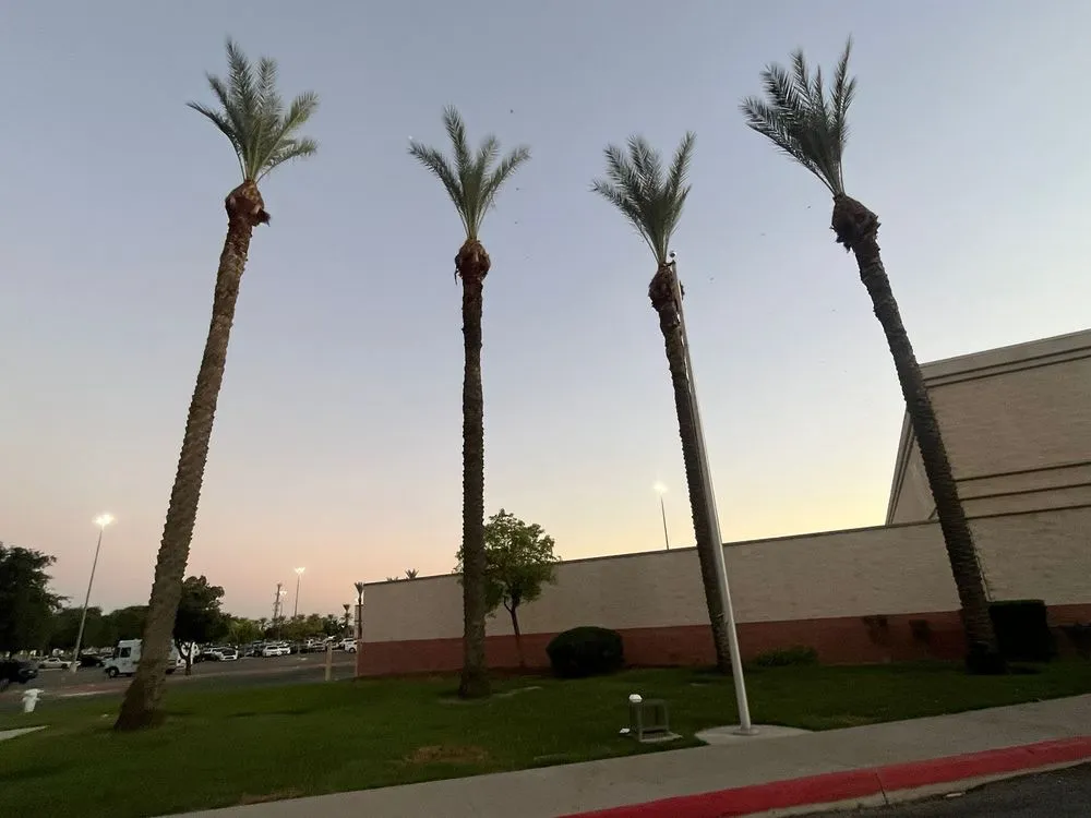 Expert landscape design for residential properties in Hanford, CA by Dangi´s Landscaping and Tree Services