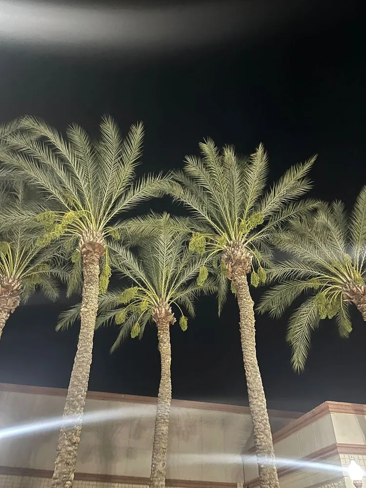 Expert landscape installation experts serving Hanford, CA - Dangi´s Landscaping and Tree Services