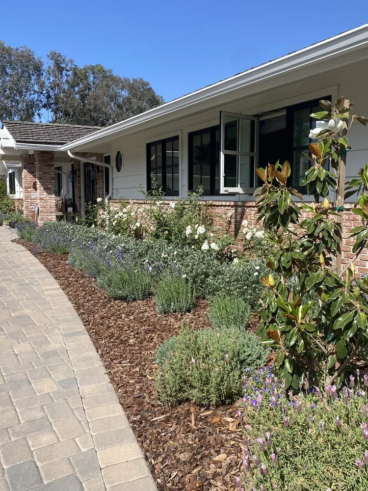 Custom residential landscaping for homes across Vista, CA - Danica Botanica