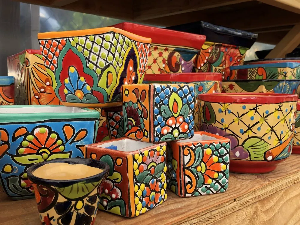 Expert landscape installation in Vista, CA - Danica Botanica