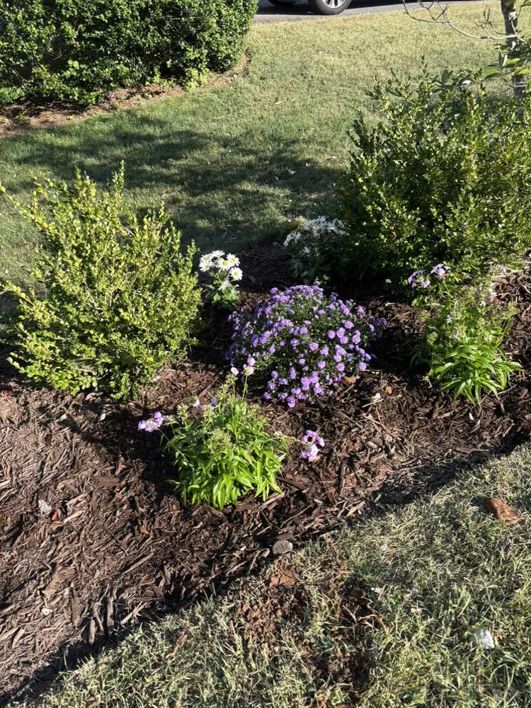 Expert lawn mowing service experts serving Palmyra, VA - Daniel & Son Lawn care