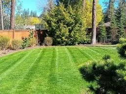 Custom lawn care service in Palmyra, VA by Daniel & Son Lawn care