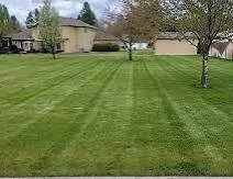 Affordable yard cleanup service for residential properties in Palmyra, VA by Daniel & Son Lawn care