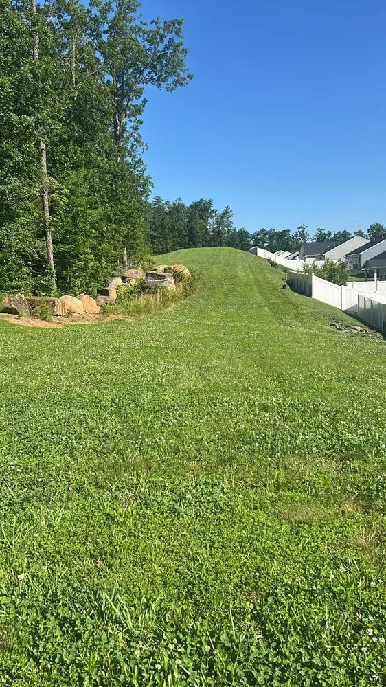 Professional yard maintenance for homes across Palmyra, VA - Daniel & Son Lawn care