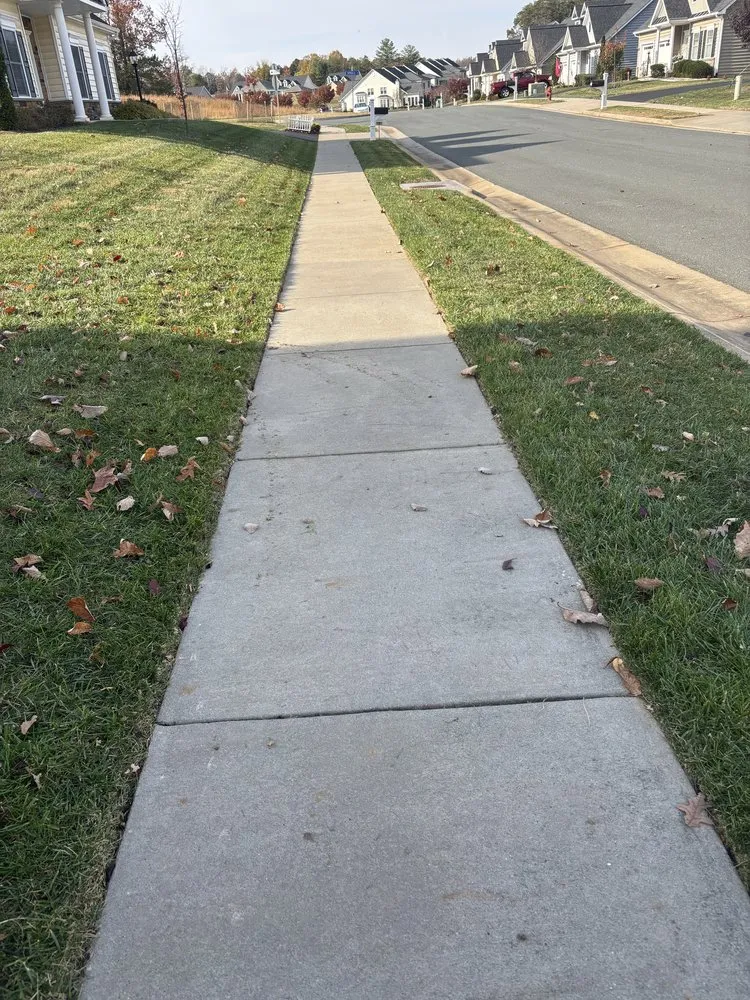 Affordable yard cleanup service experts serving Palmyra, VA - Daniel & Son Lawn care