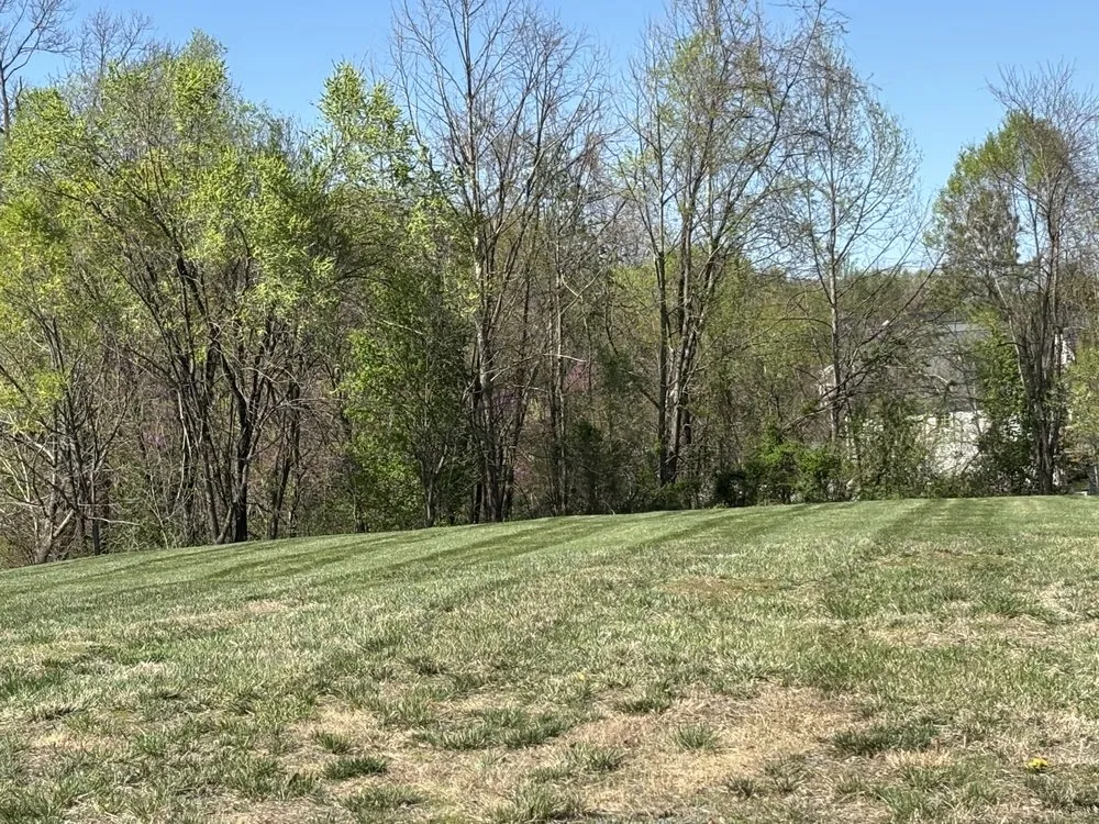 Custom lawn care service for outdoor upgrades across Palmyra, VA - Daniel & Son Lawn care