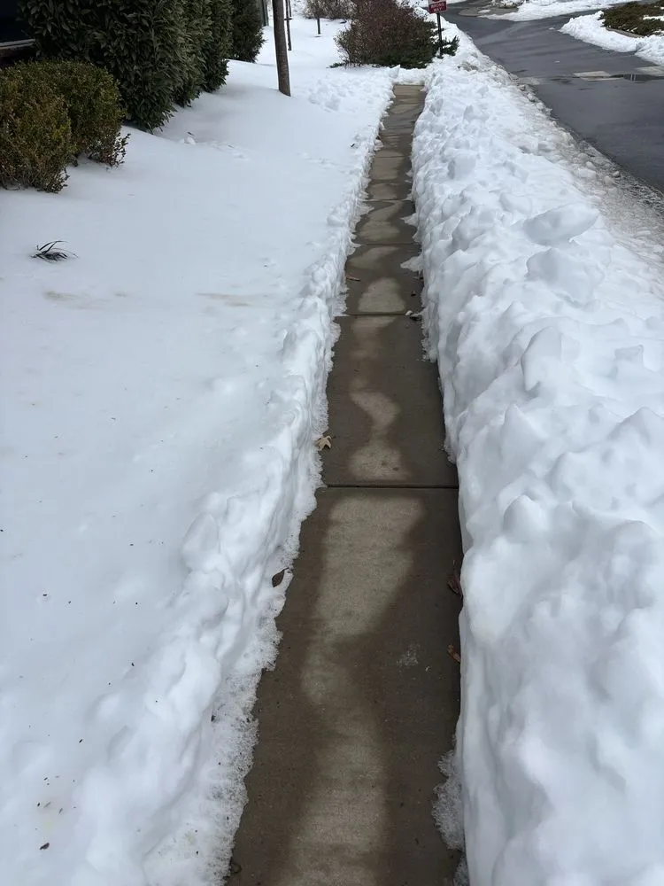 Local yard cleanup service with custom design across Palmyra, VA - Daniel & Son Lawn care