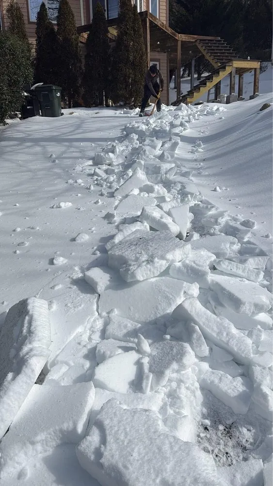 Top-rated yard cleanup service in Palmyra, VA by Daniel & Son Lawn care