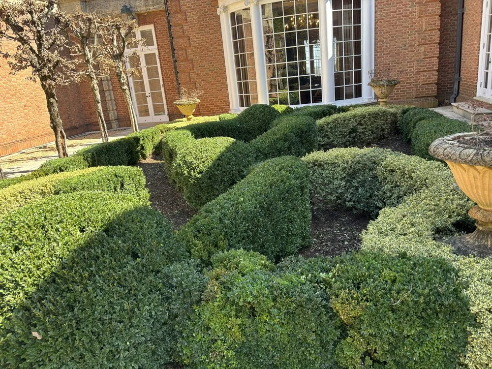 Trusted outdoor landscaping experts serving Palmyra, VA - Daniel & Son Lawn care