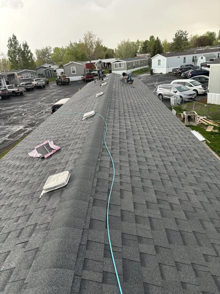 Reliable landscape design for homes in Fort Collins, CO by Daniel Acosta