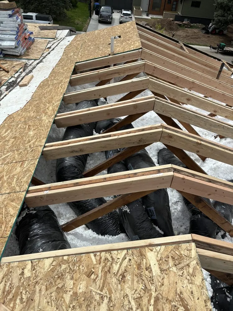 Professional lawn care service in Fort Collins, CO - Daniel Acosta