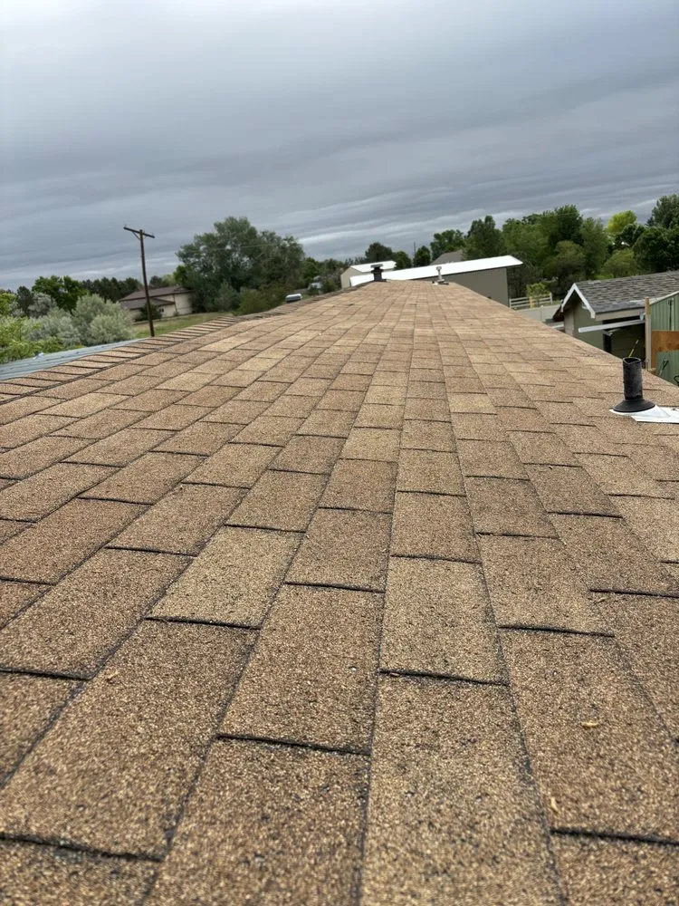 Professional yard maintenance in Fort Collins, CO by Daniel Acosta