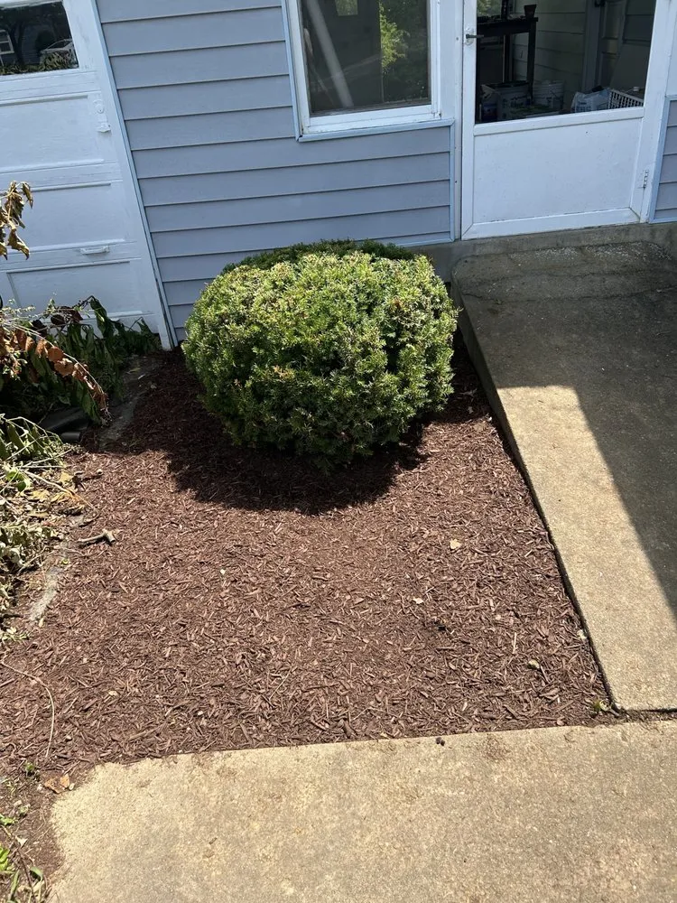 Trusted yard maintenance in Simpsonville, KY - Daniel and Manuel Services