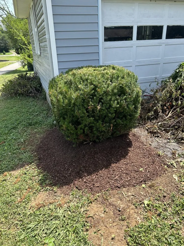 Professional garden landscaping in Simpsonville, KY by Daniel and Manuel Services