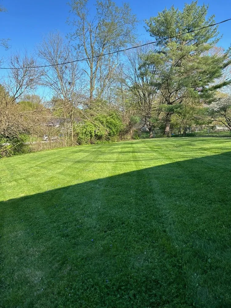 Expert outdoor landscaping with custom design across Simpsonville, KY - Daniel and Manuel Services