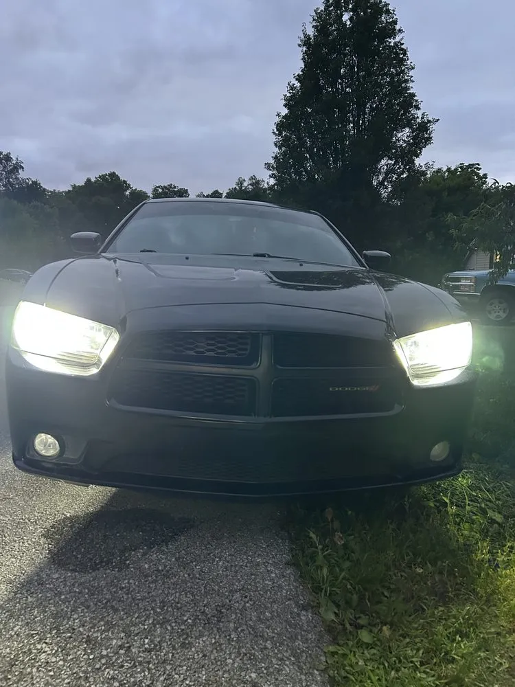 Professional residential landscaping for homes in Simpsonville, KY by Daniel and Manuel Services