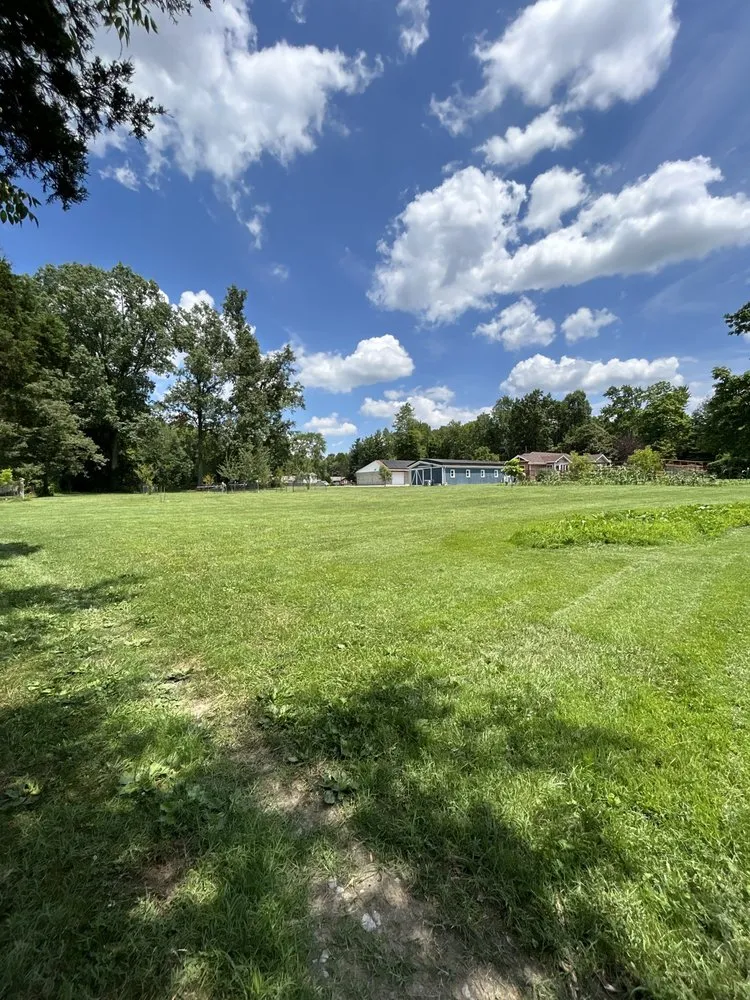 Professional yard maintenance experts serving Simpsonville, KY - Daniel and Manuel Services