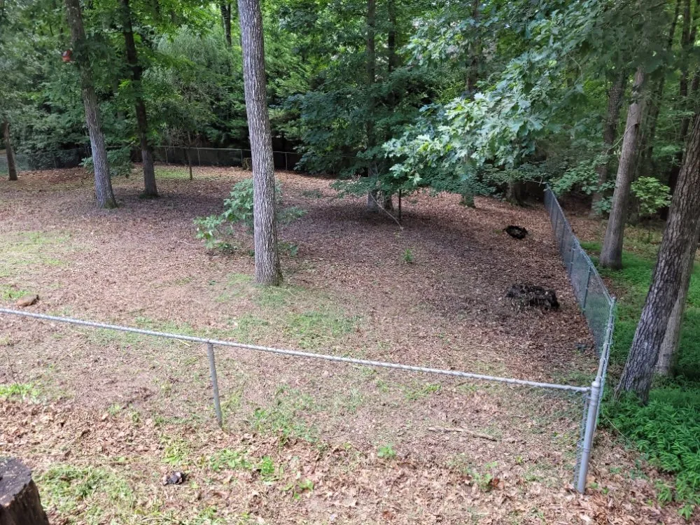 Top-rated residential landscaping for outdoor upgrades in Marietta, GA by Daniel and Son Lawn Care Services