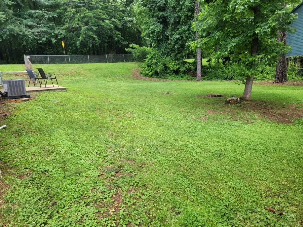 Local lawn mowing service for homes in Marietta, GA by Daniel and Son Lawn Care Services