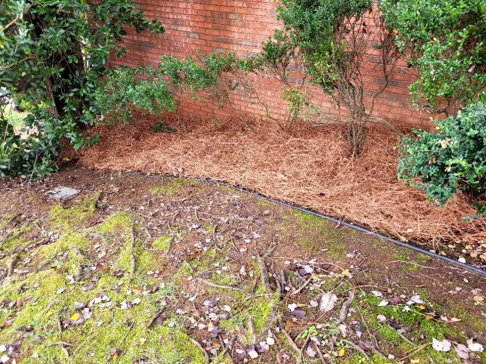 Expert garden landscaping in Marietta, GA by Daniel and Son Lawn Care Services