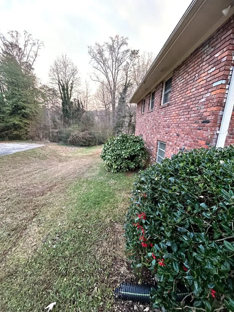 Expert landscaping services in Marietta, GA - Daniel and Son Lawn Care Services