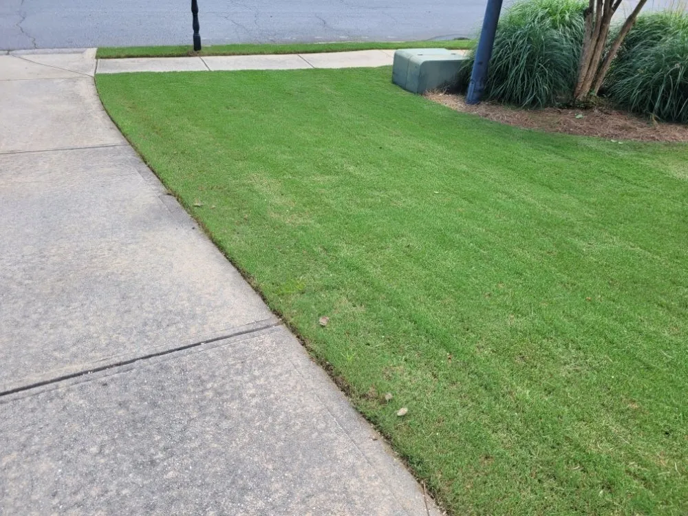 Expert outdoor landscaping experts serving Marietta, GA - Daniel and Son Lawn Care Services