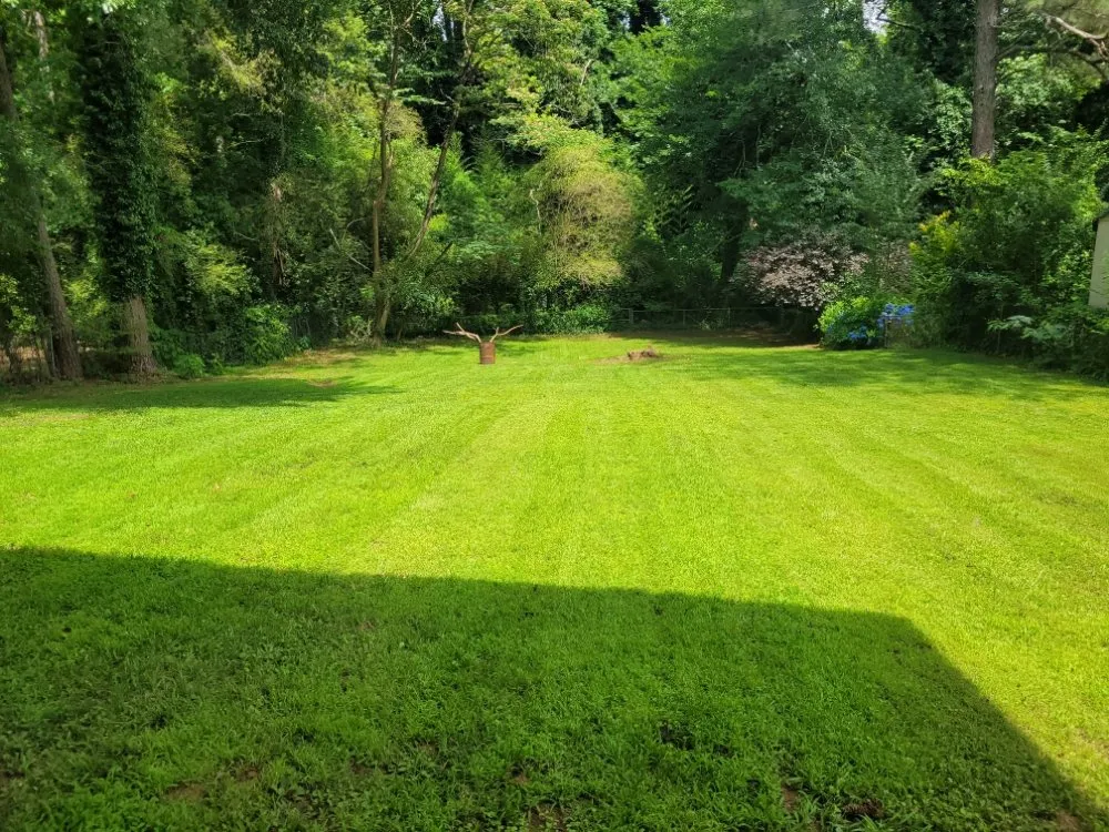 Professional lawn care service in Marietta, GA by Daniel and Son Lawn Care Services