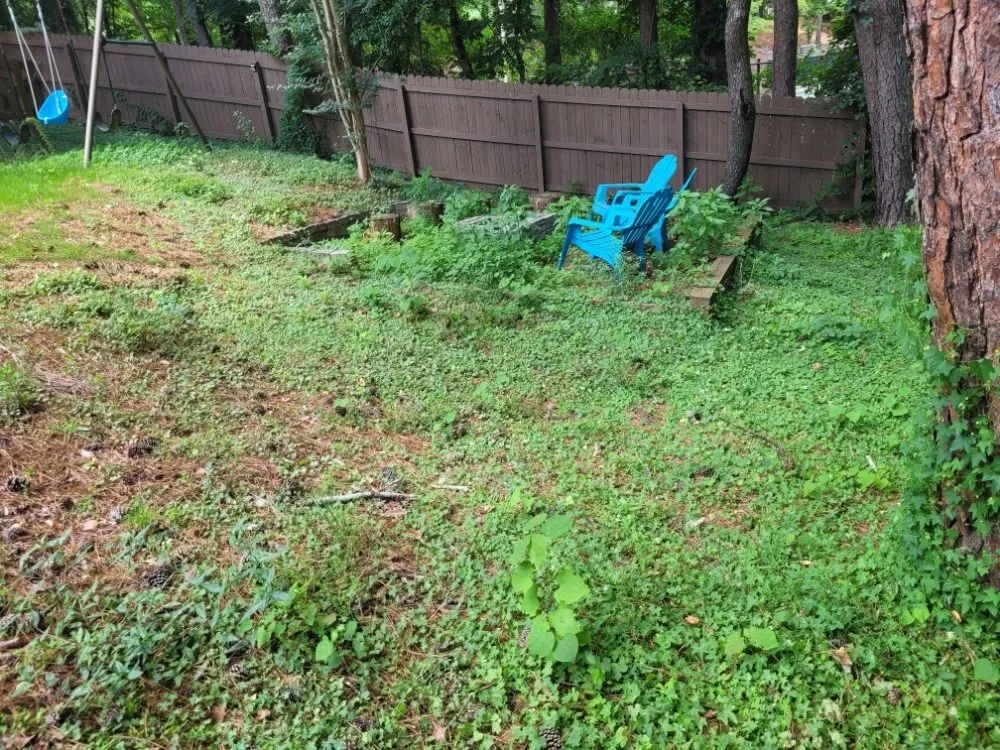 Local lawn care service for homes across Marietta, GA - Daniel and Son Lawn Care Services