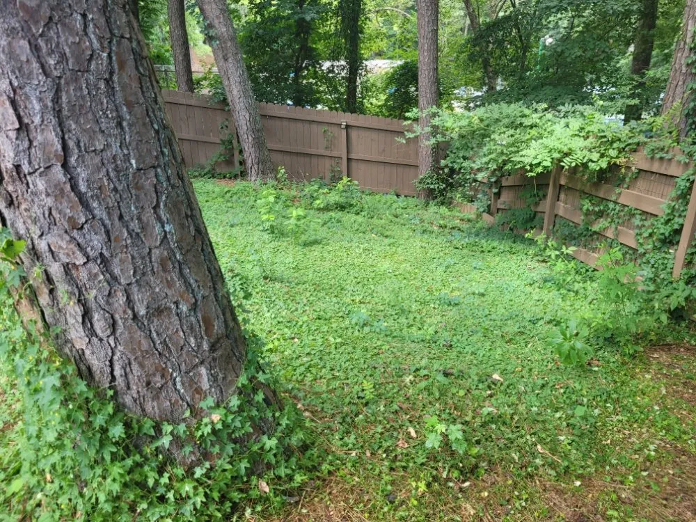 Trusted landscaping services in Marietta, GA - Daniel and Son Lawn Care Services