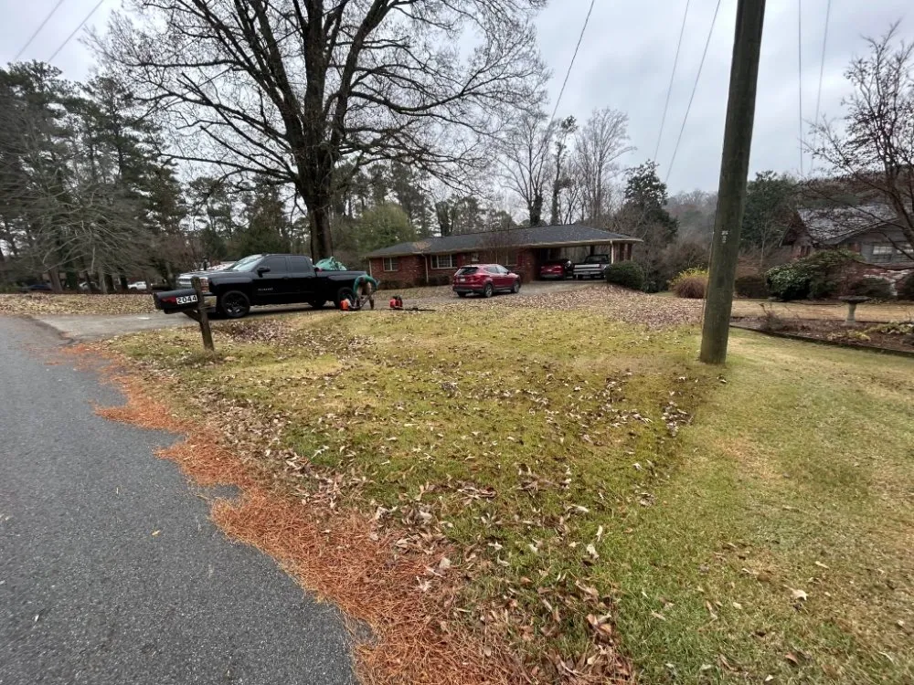 Expert lawn care service for residential properties in Marietta, GA by Daniel and Son Lawn Care Services