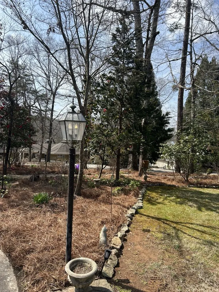 Top-rated yard cleanup service experts serving Gainesville, GA - Daniel Brock