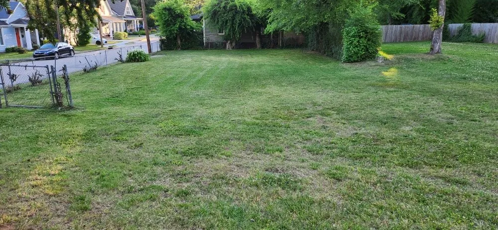 Affordable outdoor landscaping for residential properties in Clayton, NC by Daniel Daniel Lawn Care Plus