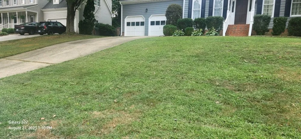 Local outdoor landscaping in Clayton, NC by Daniel Daniel Lawn Care Plus