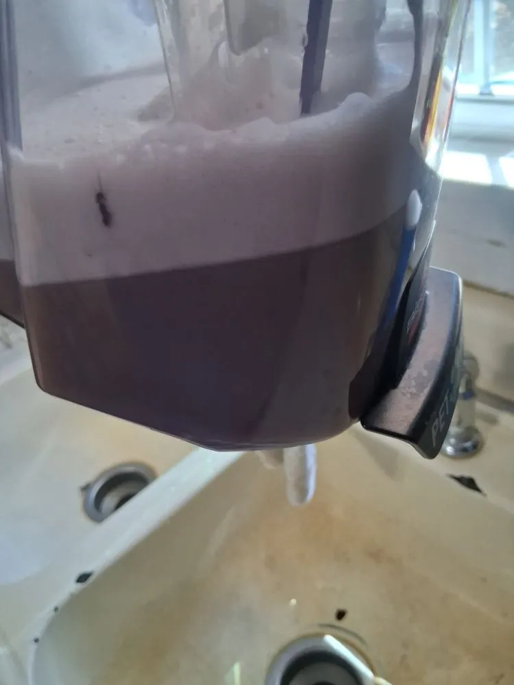 Custom outdoor landscaping for year-round maintenance across Clovis, NM - Daniel Inside & Out