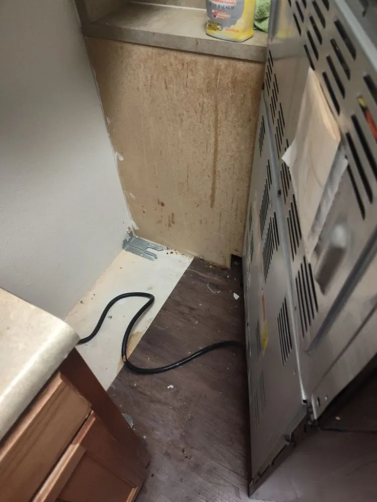 Local yard maintenance in Clovis, NM - Daniel Inside & Out