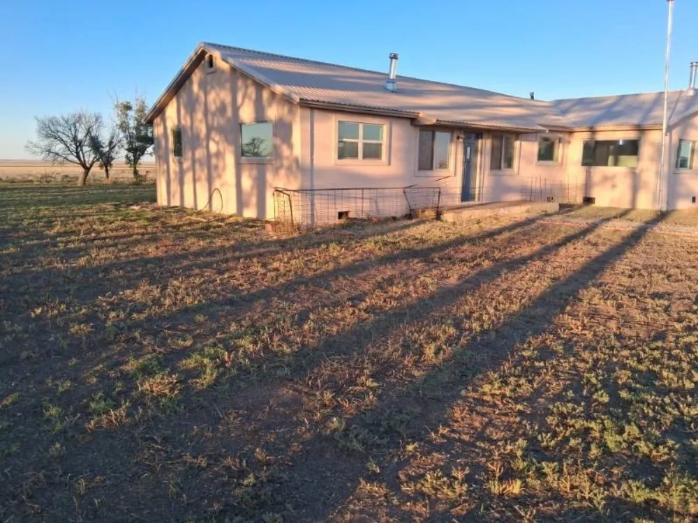 Professional yard cleanup service in Clovis, NM - Daniel Inside & Out