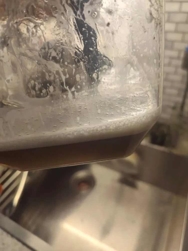 Expert landscape design for beautiful yards across Clovis, NM - Daniel Inside & Out