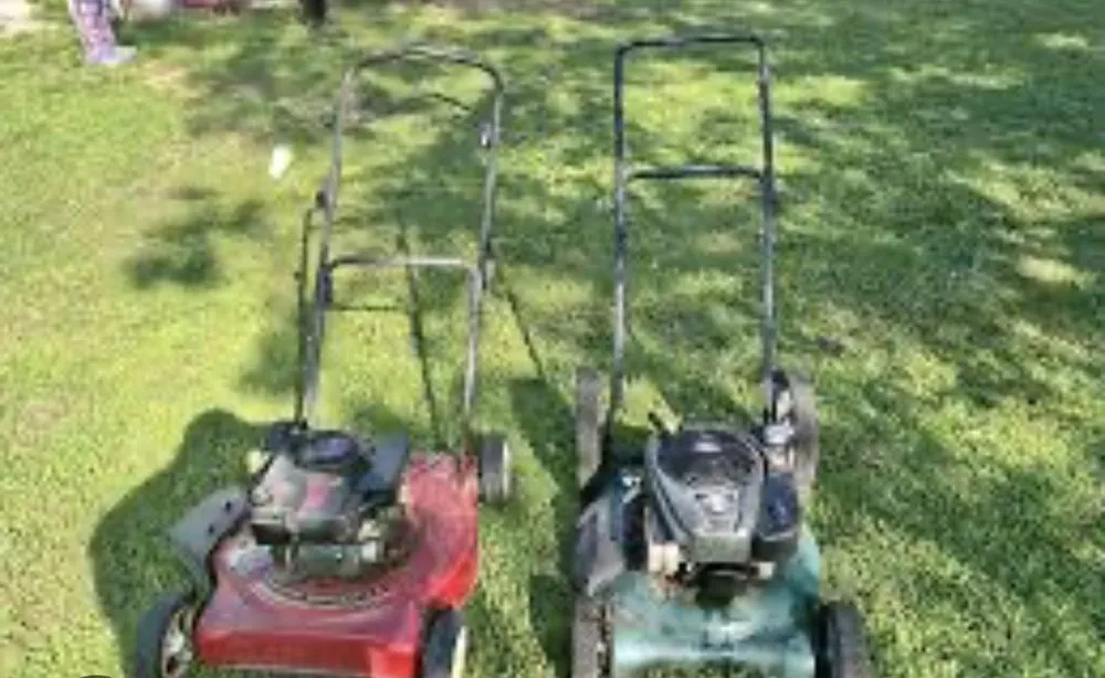 Trusted landscaping services for year-round maintenance in Panama City, FL by Daniel Kries