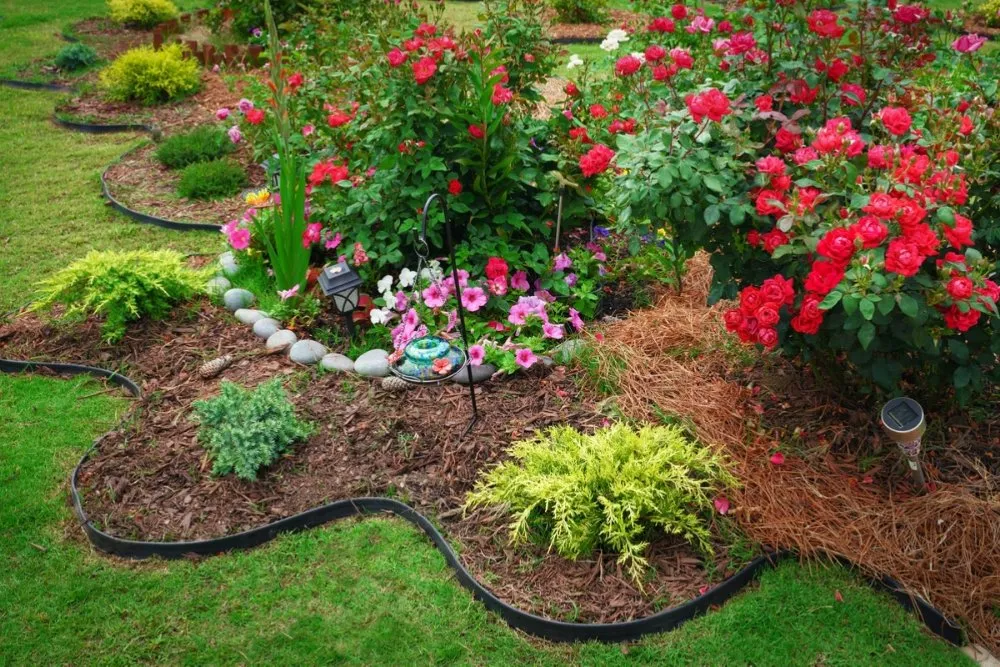Trusted lawn mowing service in Colorado, TX - Daniel Landscaping