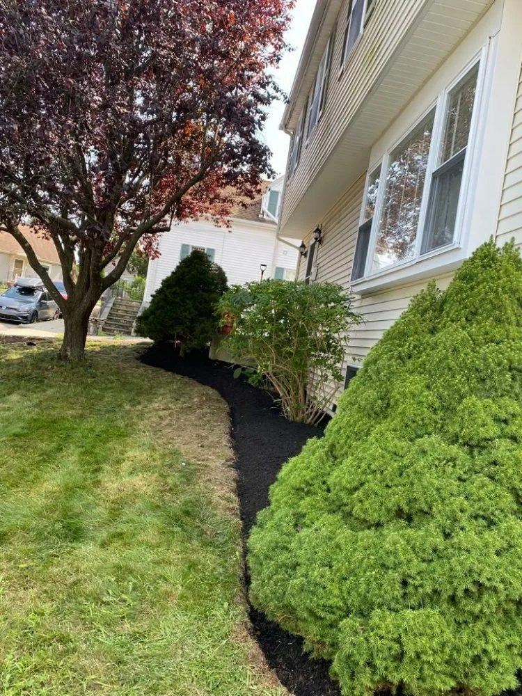 Trusted lawn care service in Colorado, TX by Daniel Landscaping