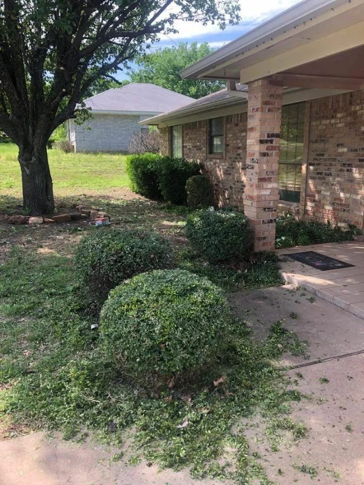 Local landscape installation in Colorado, TX - Daniel Landscaping