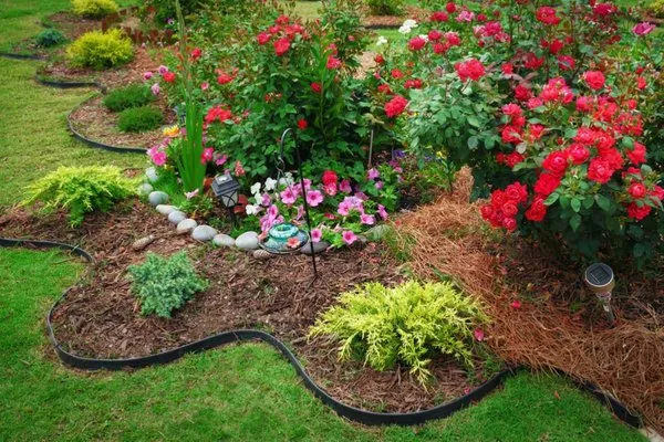 Daniel Landscaping