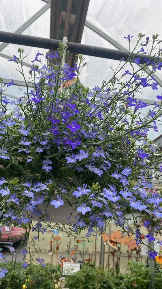 Expert garden landscaping in Elmsford, NY by Daniel Landscaping