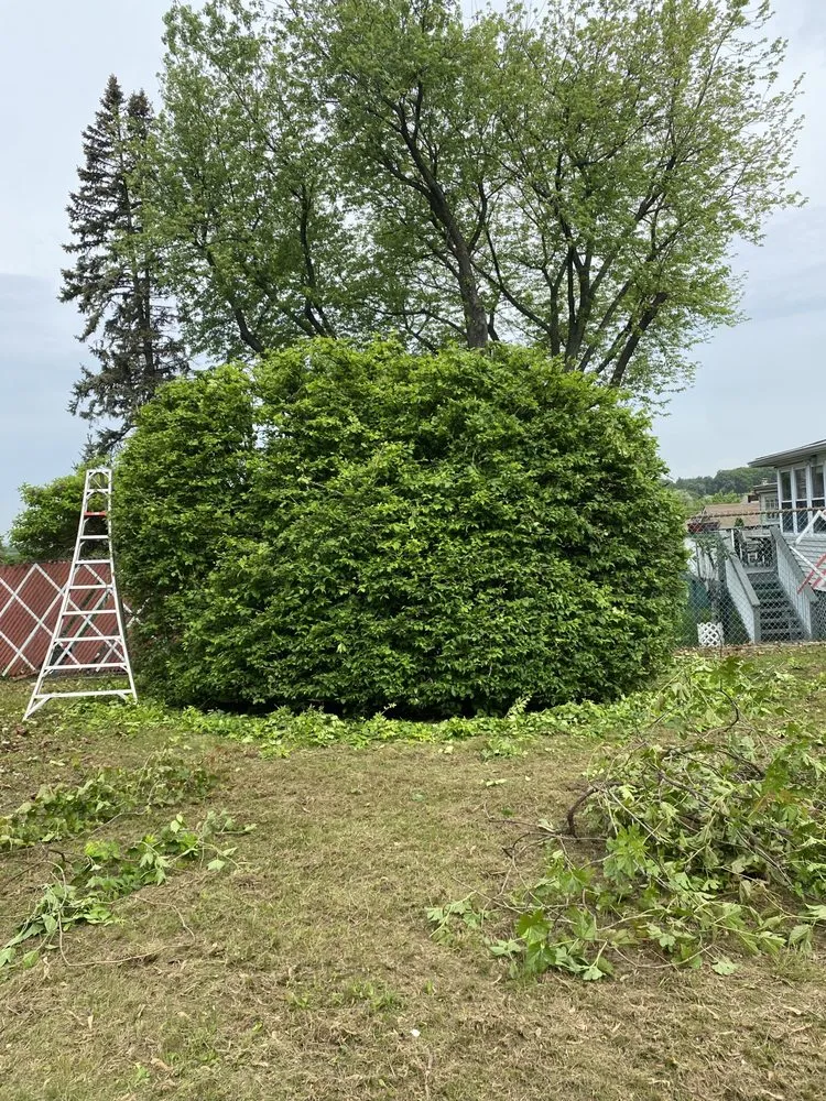 Custom residential landscaping for residential properties across Elmsford, NY - Daniel Landscaping