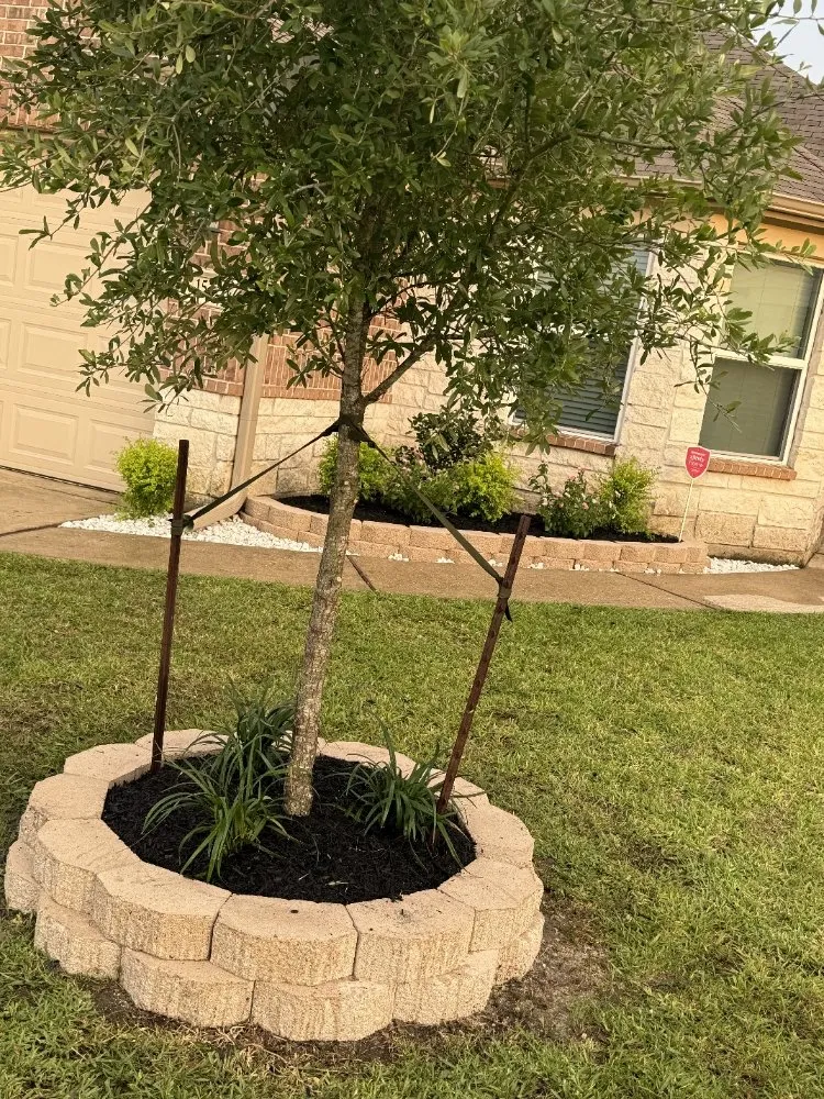 Professional yard cleanup service for homes in Jacinto City, TX by Daniel Landscaping
